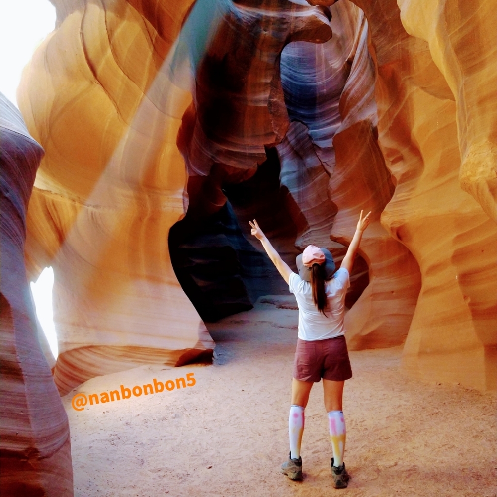 Posh Show News 🗞️ Get Notifications - Picture 6 of 11